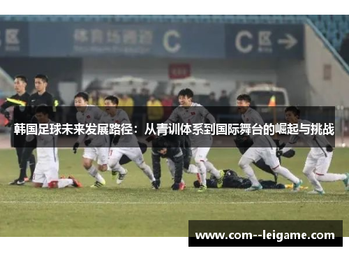 韩国足球未来发展路径：从青训体系到国际舞台的崛起与挑战