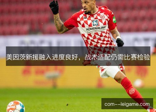 美因茨新援融入进度良好，战术适配仍需比赛检验